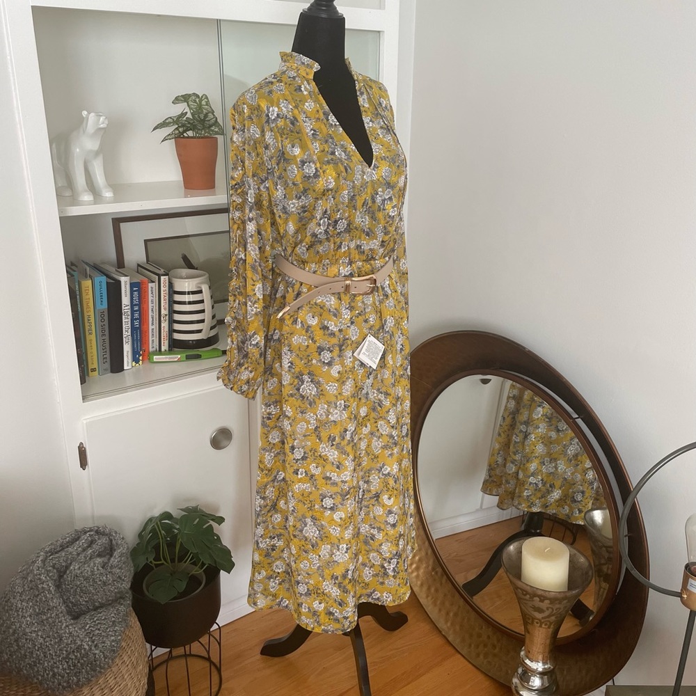 ZARA Midi Dress